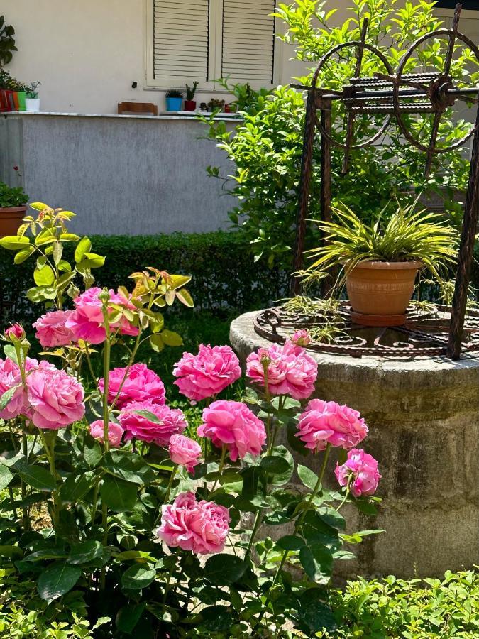 Apartamento Js House Shkoder 1 Exterior foto