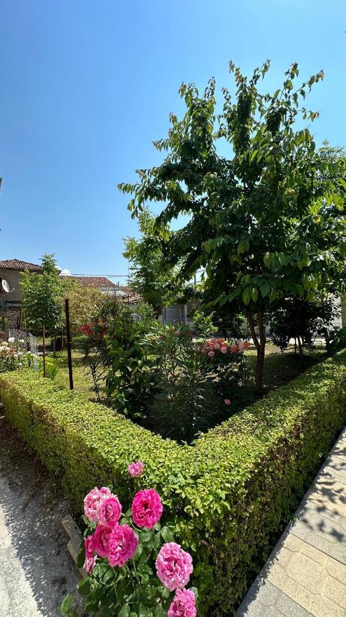 Apartamento Js House Shkoder 1 Exterior foto